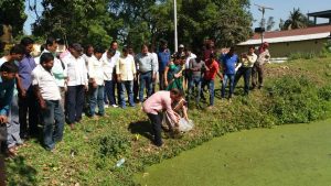 Activities to control mosquito reproduction...