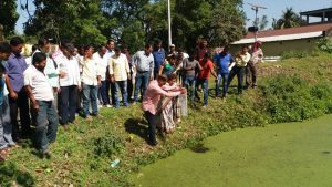 Activities to control mosquito reproduction...