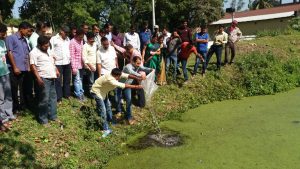 Activities to control mosquito reproduction...